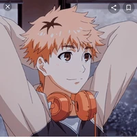Hide
