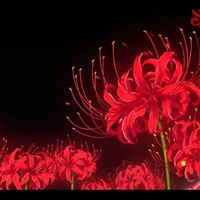 พระเจ้า