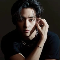 Kim taehyung (V)