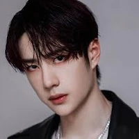 หวังอี้ป๋อ