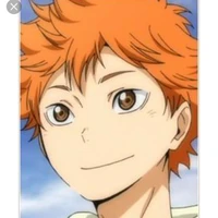 hinata shoyo(middle blocker/wing spiker)