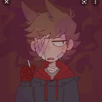 「°•~Tord~•°」