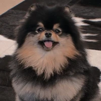 yeontan