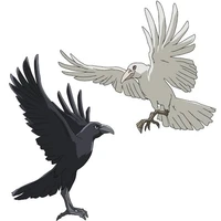 Corvos