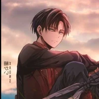 Levi