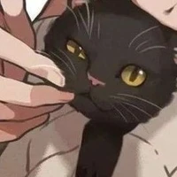 Chifuyuu [•Chat•]
