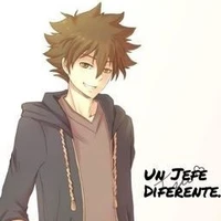 สึนะ(ตัวเอก)+เรื่องรีบอร์