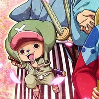 ซ๊อปเปอร์+วันพีช