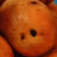 Cartman