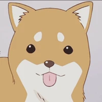 Perro