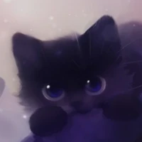 Gato