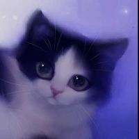Gato