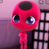 tikki