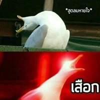 ตปก.ชาย1