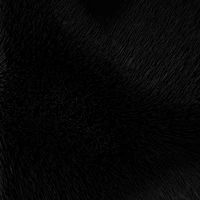 Unknown 3