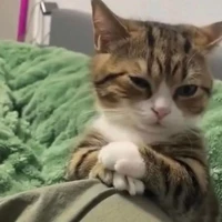 ✮્᭄͜͡Mëy✮્᭄͜͡