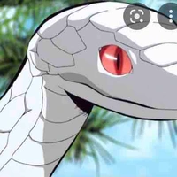 Ray