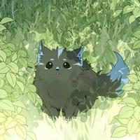 เจ้าดำ