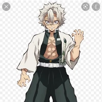 sanemi shinasagawa