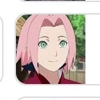 sakura (p)
