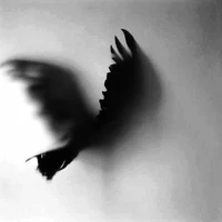 BLACK EAGLES