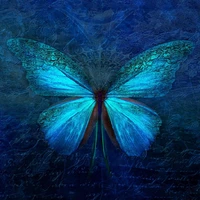 𝒂𝒕𝒉𝒐𝒖𝒓~