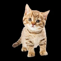 💙แอดมิน💙