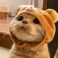 ต.ป.ก.ช