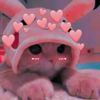 แอดเอง~