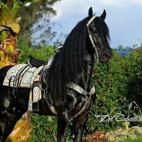 trueno