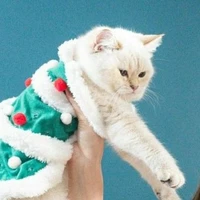 คนเเต่ง■_■