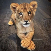 king