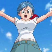 bulma