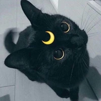 Yin
