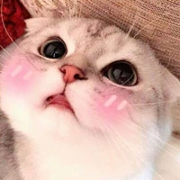 ไรต์เองงง