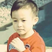 Xiao Yang Yang