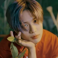 taemin (amigo de Jimin)