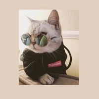 𝙰𝚞𝚝𝚑𝚘𝚛