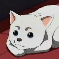 ziggie