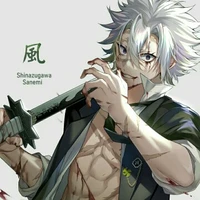 Shinazugawa Sanemi