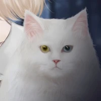 gato