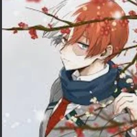 Todoroki