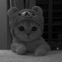 cutie author