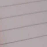 Tuo