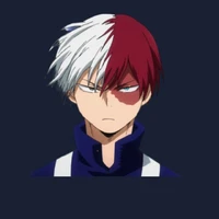 Shoto todoroki