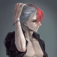 todoroki