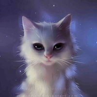 Eli’s cat