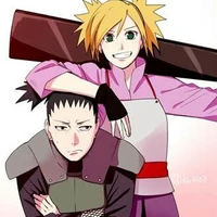 shikatema