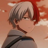 Shoto Todoroki