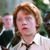 Ron wasly